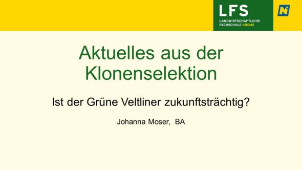 Aktuelles aus der Klonenselektion