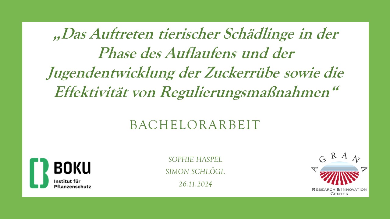 Mehr über den Artikel erfahren „Das Auftreten tierischer Schädlinge in der Phase des Auflaufens