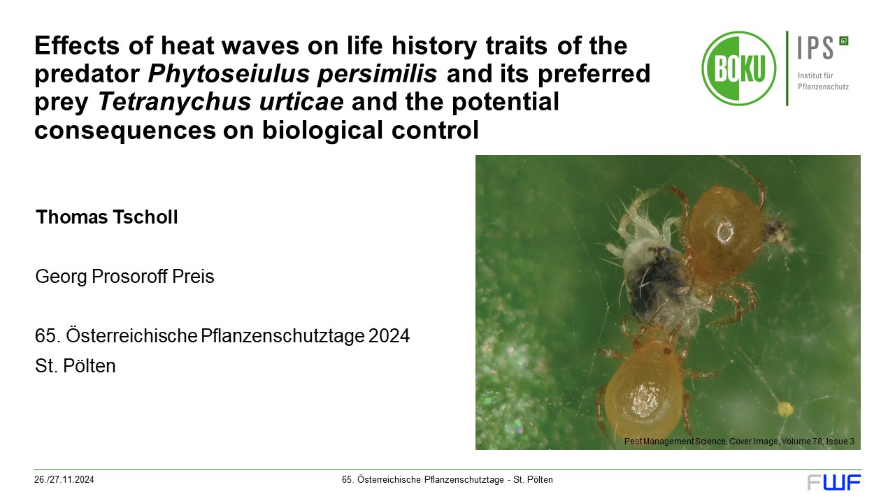 Mehr über den Artikel erfahren Effects of heat waves on life history traits of the predator Phytoseiulus persimilis