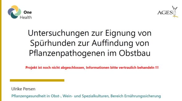 Untersuchungen zur Eignung von Spürhunden zur Auffindung von Pflanzenpathogenen im Obstbau